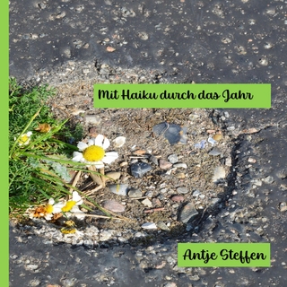 Mit Haiku durch das Jahr