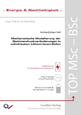 Mathematische Modellierung der Gasinnendruckver&auml;nderungen in zylindrischen Lithium-Ionen-Zellen - Andrea Held
