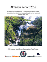 Almanda Report 2016 -  Friends of Sccp