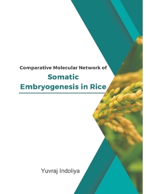 Comparative Molecular Network of Somatic Embryogenesis in Rice - Yuvraj Indoliya