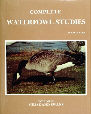 Complete Waterfowl Studies - Bruce Burk