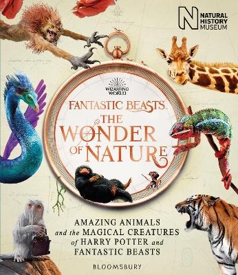 Fantastic Beasts: The Wonder of Nature -  Natural History Museum
