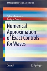 Numerical Approximation of Exact Controls for Waves - Sylvain Ervedoza, Enrique Zuazua