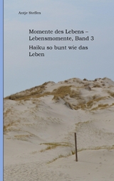 Momente des Lebens - Lebensmomente Band 3 - Antje Steffen