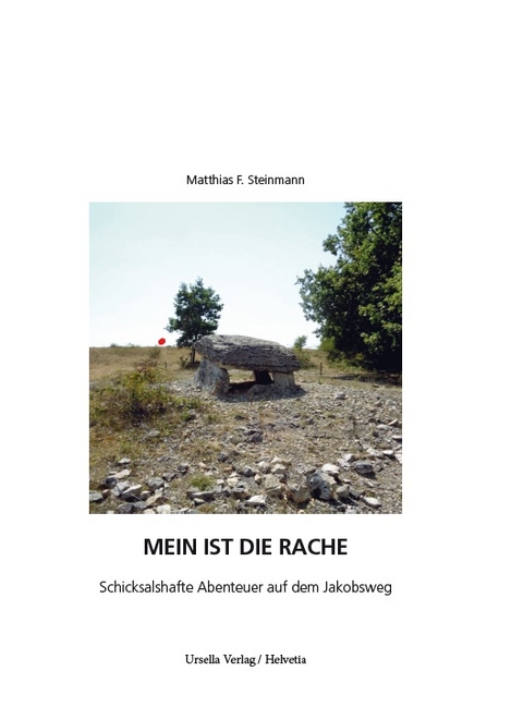 Mein ist die Rache - Matthias F. Steinmann