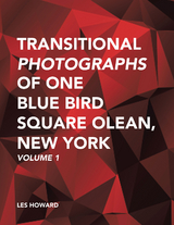 Transitional Photographs of One Blue Bird Square Olean, New York - Les Howard