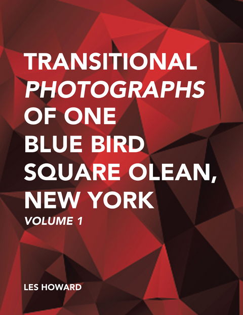 Transitional Photographs of One Blue Bird Square Olean, New York - Les Howard