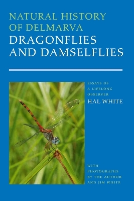 Natural History of Delmarva Dragonflies and Damselflies - Harold B. White