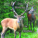 Die Hirsche in D&ouml;rflas - G&uuml;nther Martens
