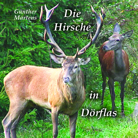 Die Hirsche in D&ouml;rflas - G&uuml;nther Martens