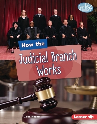 How the Judicial Branch Works - Zelda Wagner