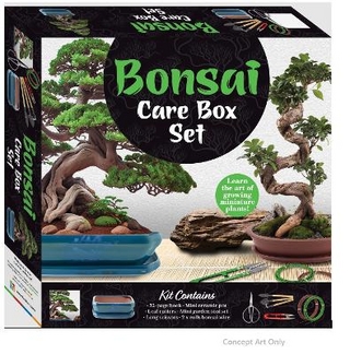 Elevate Bonsai Care Kit