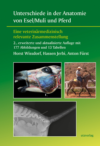 Unterschiede in der Anatomie von Esel/Muli und Pferd - Horst Wissdorf; Hassen Jerbi; Anton Fürst