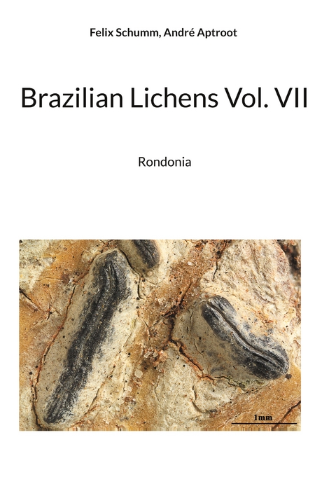 Brazilian Lichens Vol. VII - Felix Schumm, Andr&eacute; Aptroot