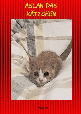 Aslan das Kätzchen