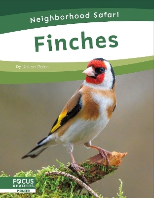 Finches - Dalton Rains