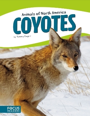 Coyotes - Tammy Gagne
