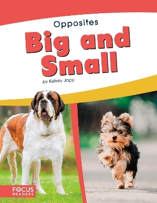 Big and Small - Kelsey Jopp