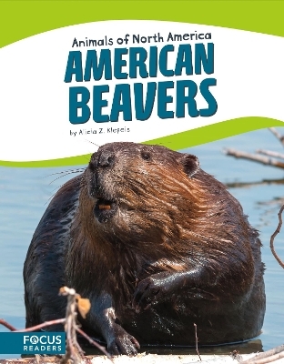 American Beavers - Alicia Z. Klepeis