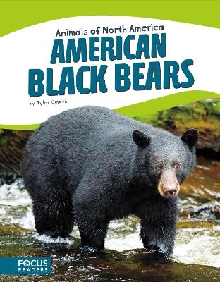 American Black Bears - Tyler Omoth