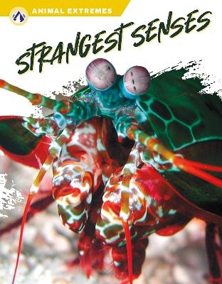 Strangest Senses - Ashley Gish