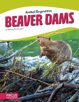 Beaver Dams - Nancy Furstinger