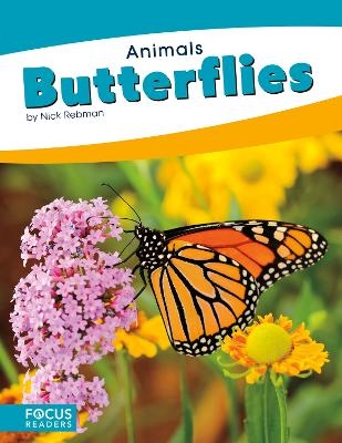 Butterflies - Nick Rebman