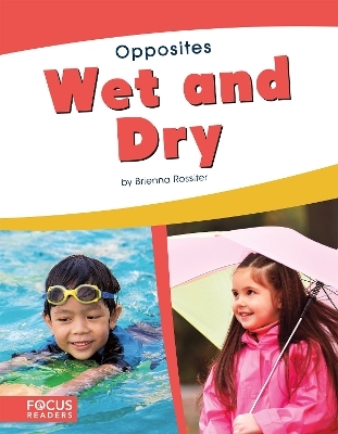 Wet and Dry - Brienna Rossiter