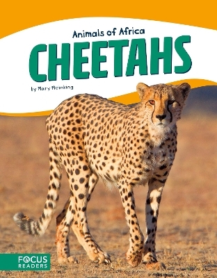 Cheetahs - Mary Meinking