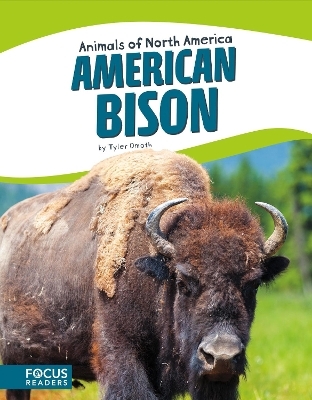 American Bison - Tyler Omoth