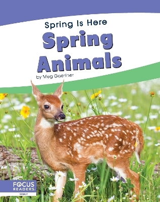 Spring Animals - Meg Gaertner