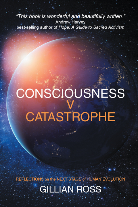 Consciousness V Catastrophe - Gillian Ross