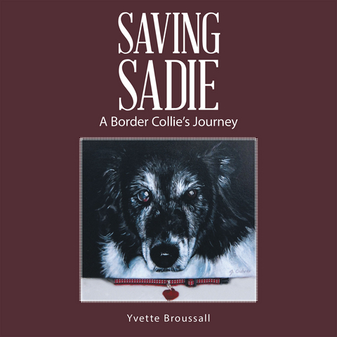 Saving Sadie - Yvette Broussall