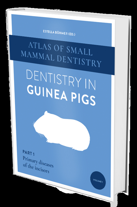 Dentistry in Guinea Pigs - Estella B&ouml;hmer