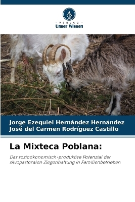 La Mixteca Poblana - Jorge Ezequiel Hern&aacute;ndez Hern&aacute;ndez, Jos&eacute; del Carmen Rodr&iacute;guez Castillo