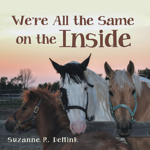 We're All the Same on the Inside - Suzanne R. DeMink