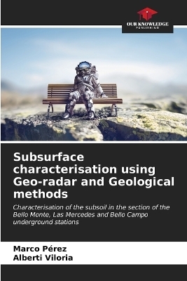 Subsurface characterisation using Geo-radar and Geological methods - Marco P&eacute;rez, Alberti Viloria