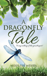 A Dragonfly Tale - Akhilesh Mehra
