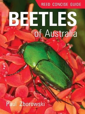 Reed Concise Guide: Beetles of Australia - Paul Zborowski