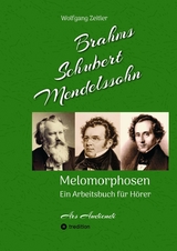 Brahms, Schubert, Mendelssohn: Melomorphosen - Fr&uuml;chte der Musikmeditation, sichtbar gemachte Informationsmatrix ausgew&auml;hlter Musikst&uuml;cke, Gestaltwerkzeuge f&uuml;r Musikh&ouml;rer; ohne Verwendung von Noten - Wolfgang Zeitler