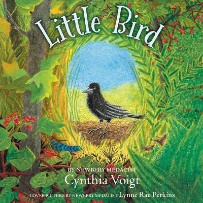 Little Bird Lib/E - Cynthia Voigt