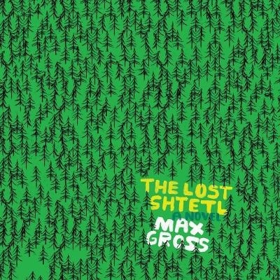 The Lost Shtetl Lib/E - Max Gross