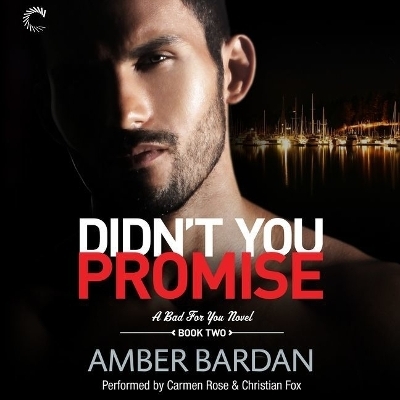 Didn't You Promise Lib/E - Amber Bardan