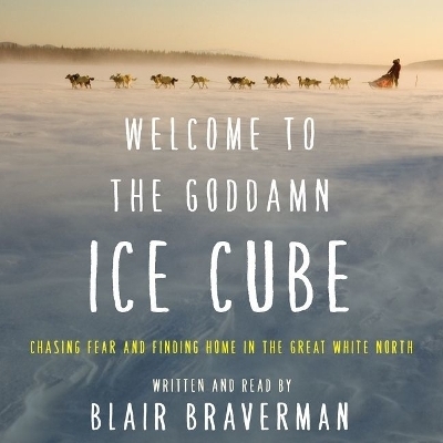 Welcome to the Goddamn Ice Cube - Blair Braverman