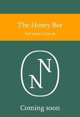 The Honey Bee - Norman Carreck