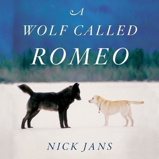 A Wolf Called Romeo Lib/E