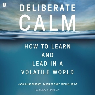 Deliberate Calm - Aaron de Smet, Jacqueline Brassey, Michiel Kruyt