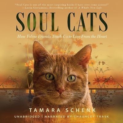 Soul Cats - Tamara Schenk
