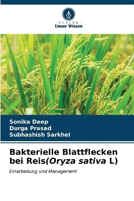 Bakterielle Blattflecken bei Reis(Oryza sativa L)