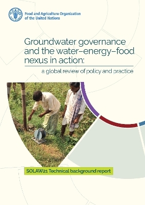 Groundwater governance and the water-energy-food nexus in action: a global review of policy and practice